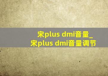 宋plus dmi音量_宋plus dmi音量调节